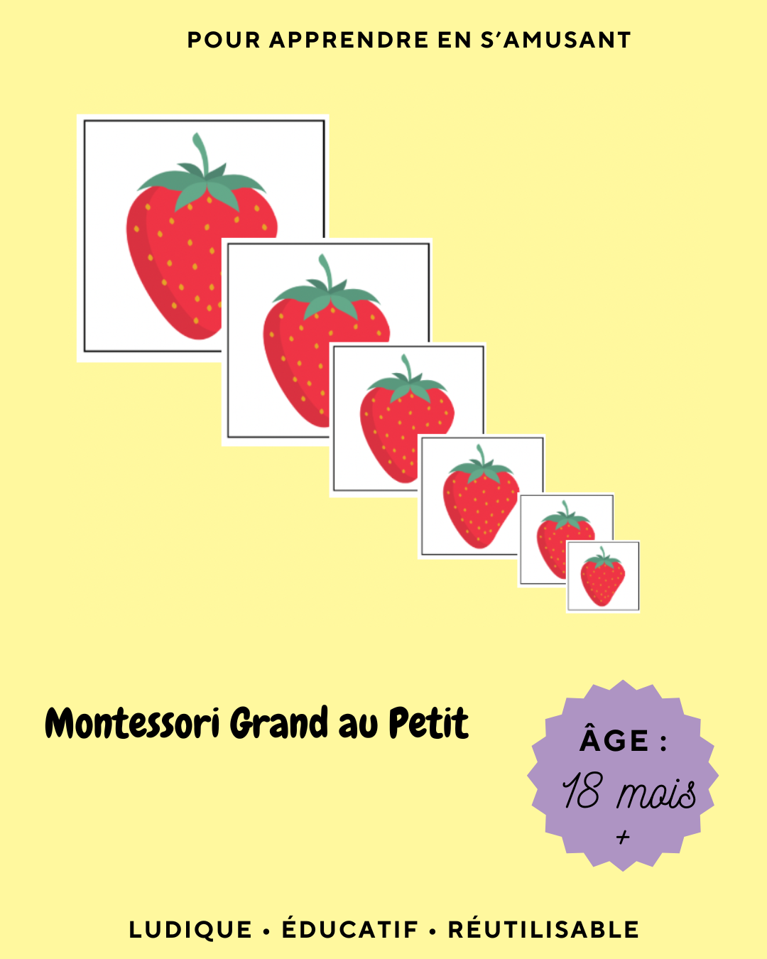 PDF Montessori Grand au Petit