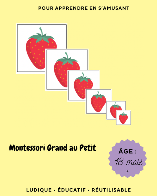 PDF Montessori Grand au Petit
