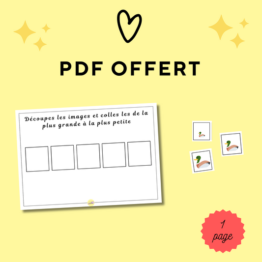 Fiche Taille PDF